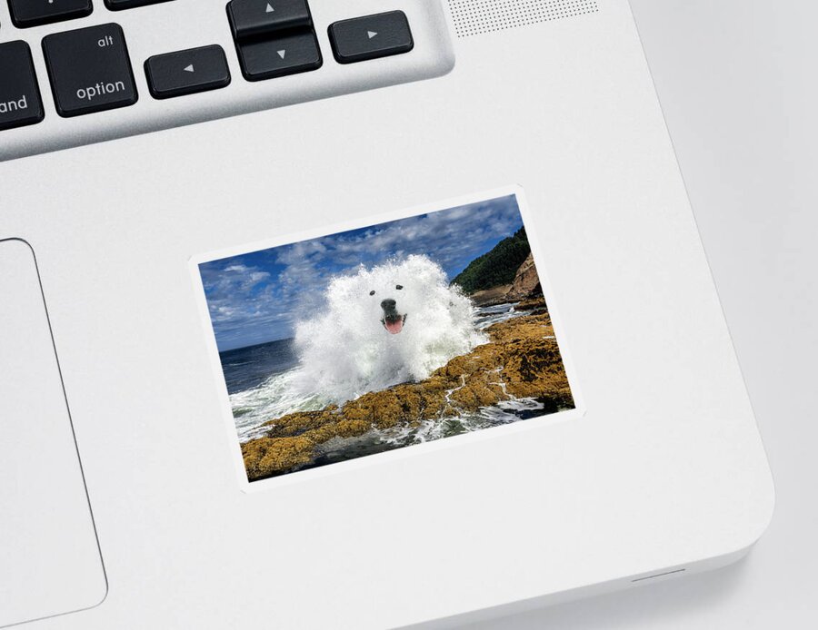 Smiling Dog Sticker featuring the digital art Waterdog by Pelo Blanco Photo