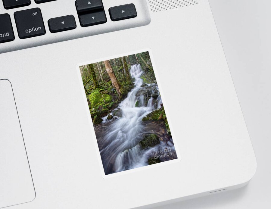 Tremont Sticker featuring the photograph Waterfall In The Smokies 3 by Phil Perkins