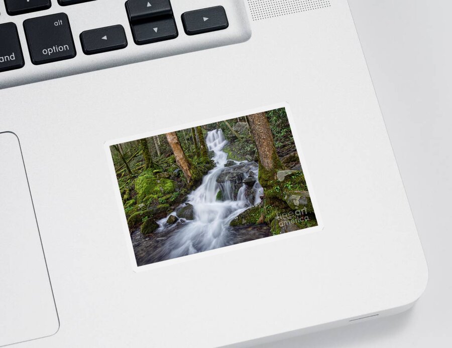 Middle Prong Trail Sticker featuring the photograph Waterfall In The Smokies 7 by Phil Perkins