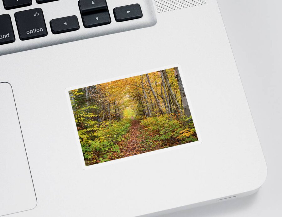 Waterville Sticker featuring the photograph Waterville Valley Foliage Path by White Mountain Images