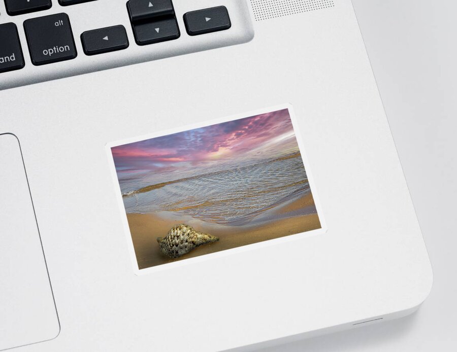 Clouds Sticker featuring the photograph Waves and Shells II by Debra and Dave Vanderlaan