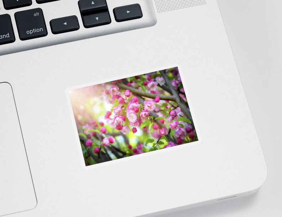 Flowers Sticker featuring the photograph When God Made You by Philippe Sainte-Laudy