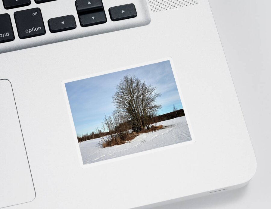Finland Sticker featuring the photograph When the days get longer and brighter by Jouko Lehto