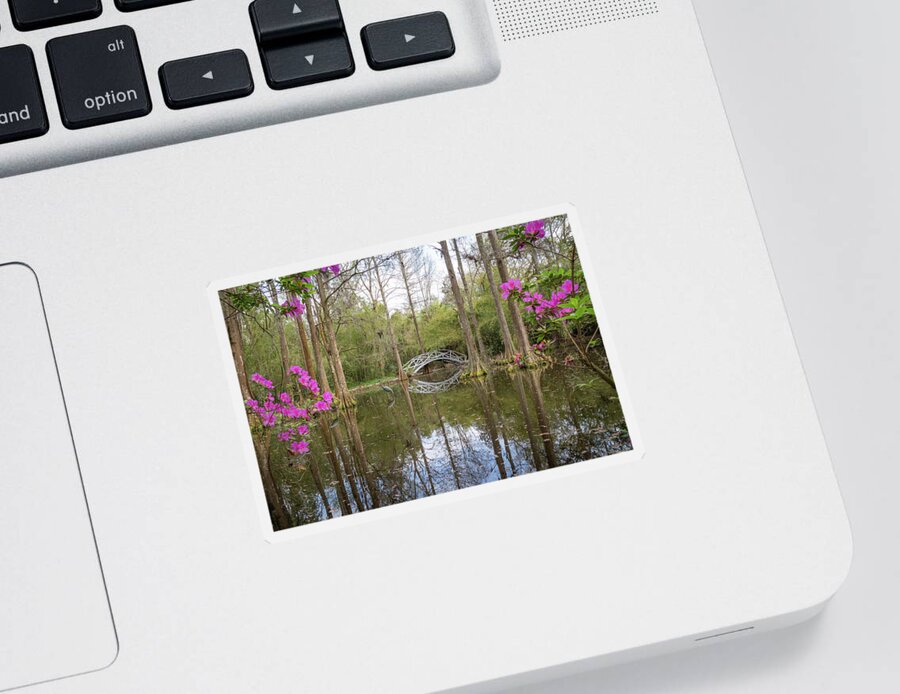 Bridge Sticker featuring the photograph White Bridge Framed by Spring Blooms by Cindy Robinson