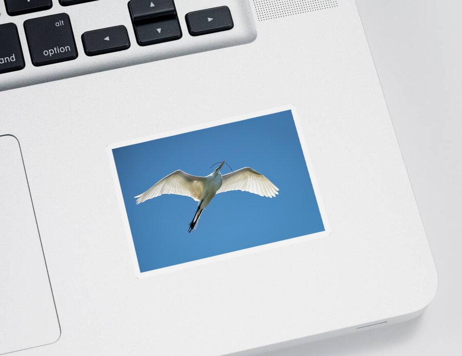Egret Sticker featuring the photograph White Egret-2 by John Kirkland