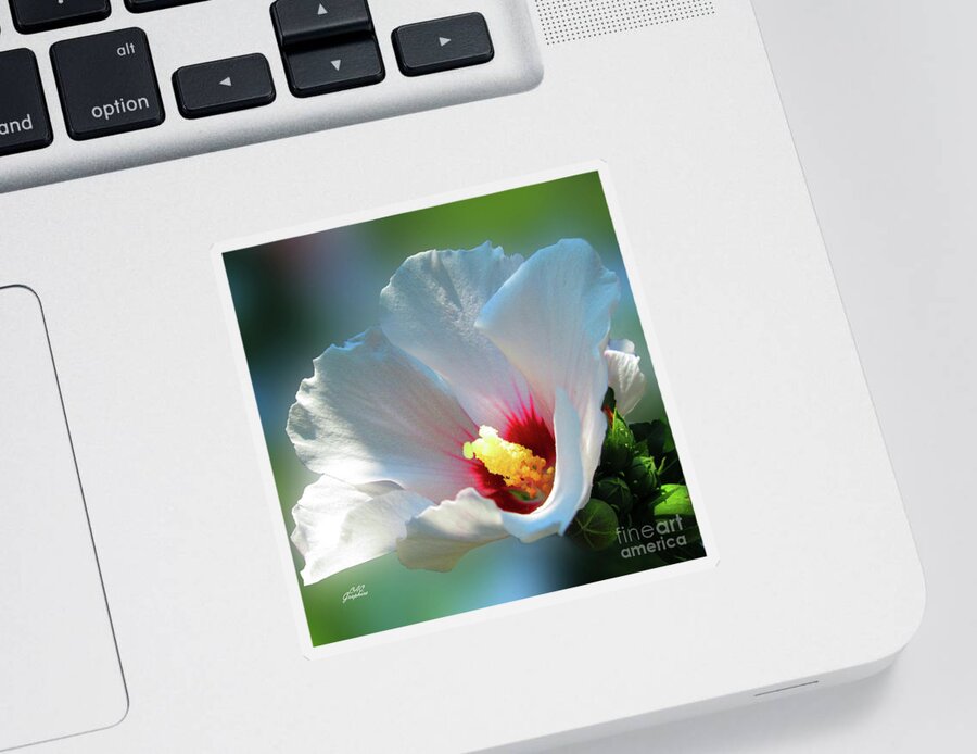 Hibiscus Flower Sticker featuring the photograph White Hibiscus by CAC Graphics