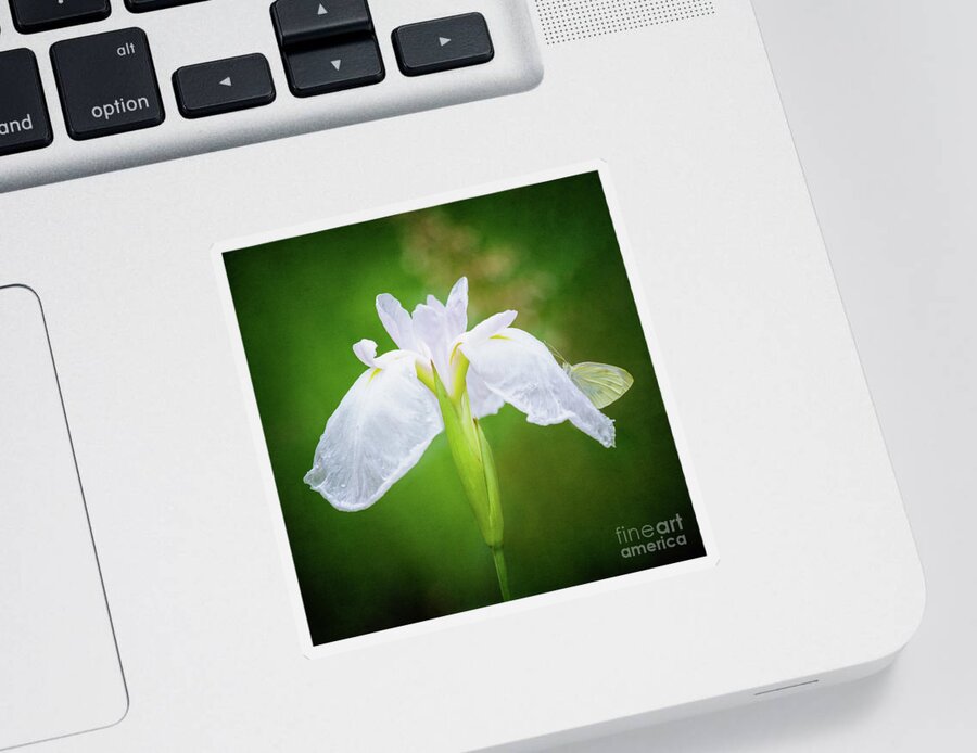 Iris Sticker featuring the photograph White Iris With Cabbage Butterfly by Anita Pollak