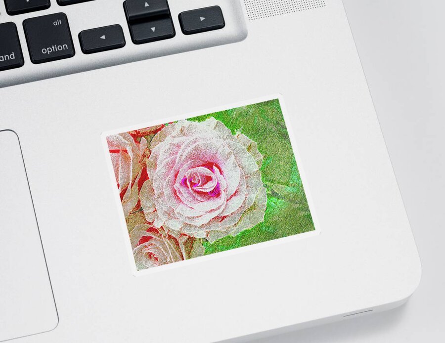 Rose Sticker featuring the photograph White Rose in Pink and Green by Corinne Carroll