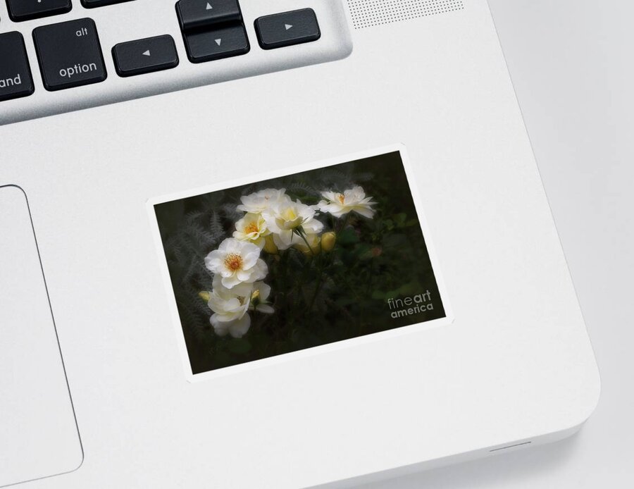 Rose Sticker featuring the photograph White Roses by Elaine Teague