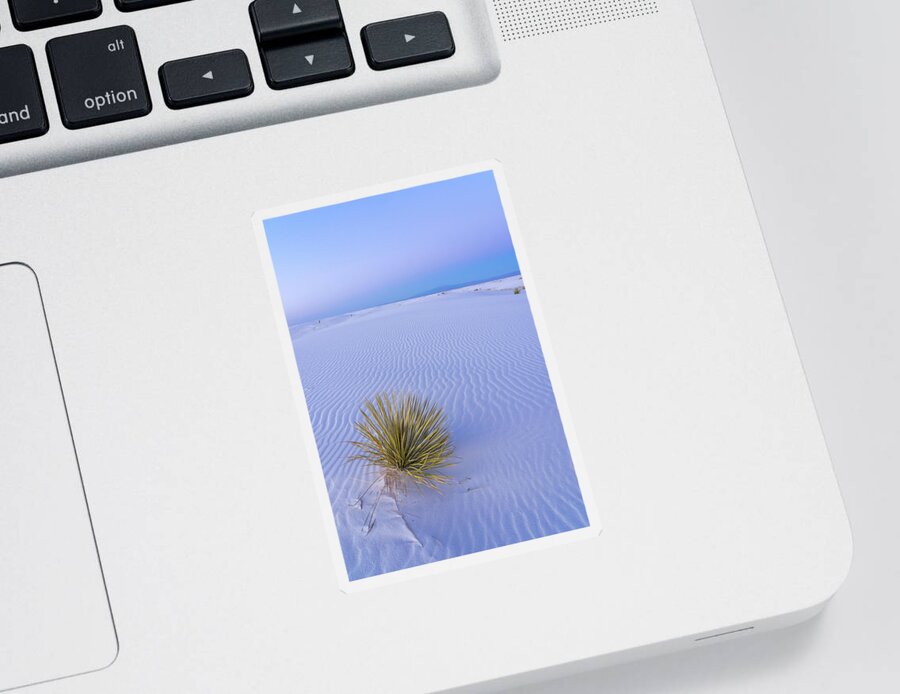 White Sands National Park Sticker featuring the photograph White Sands Yucca at Dusk by Tina Horne