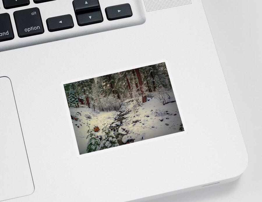 Creek Sticker featuring the photograph White Trees by Maria Coulson