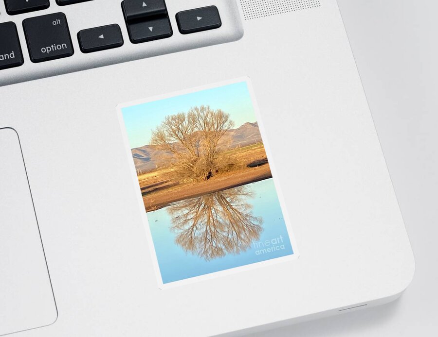 Photography Sticker featuring the photograph Whitewater Draw by Sean Griffin