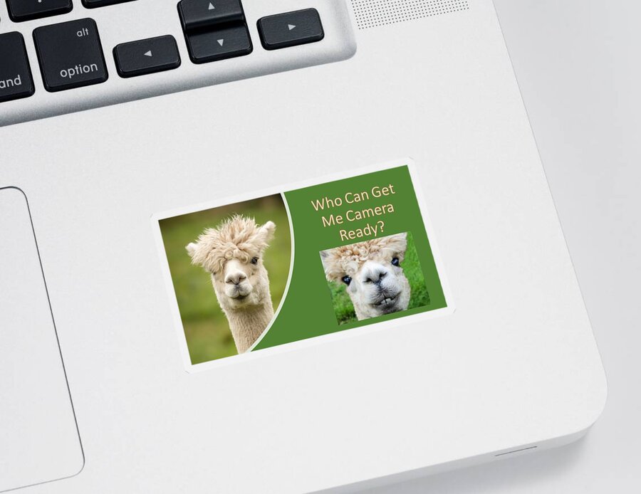 Alpaca Sticker featuring the photograph Who Can Get Me Camera Ready by Nancy Ayanna Wyatt