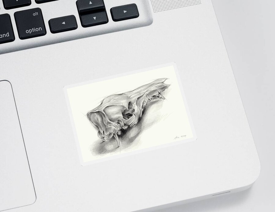 Wild Boar Sticker featuring the drawing Wild boar skull and metamorphosis of life 1 by Adriana Mueller