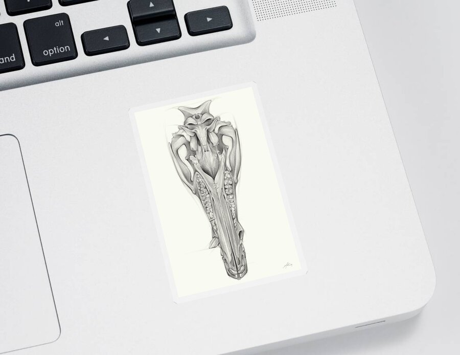 Wild Boar Sticker featuring the drawing Wild boar skull and the cycle of life 1 by Adriana Mueller