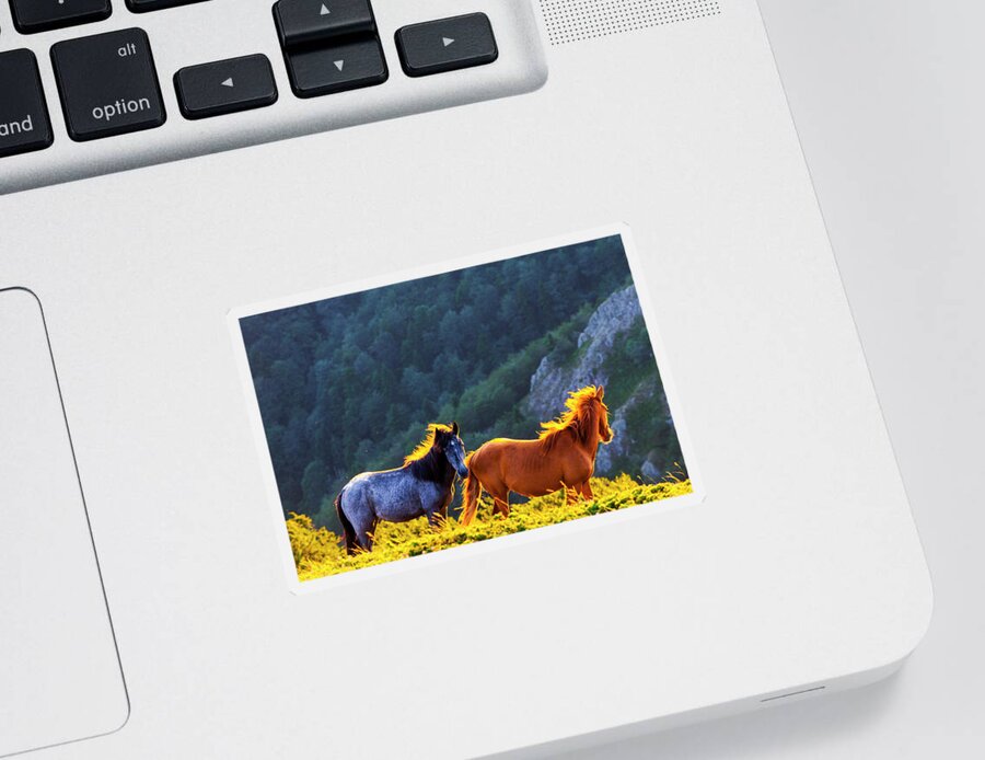 Balkan Mountains Sticker featuring the photograph Wild Horses by Evgeni Dinev
