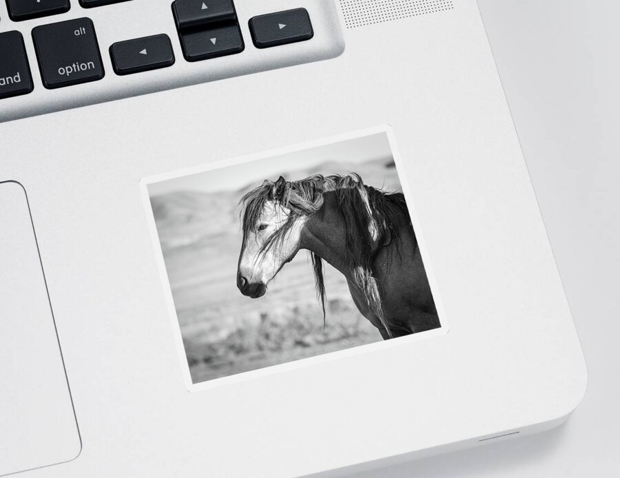 Wild Horse Sticker featuring the photograph Wild Wind Knots by Mary Hone