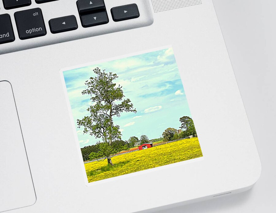 Wildflower Sticker featuring the photograph Wildflower Field by Lee Darnell