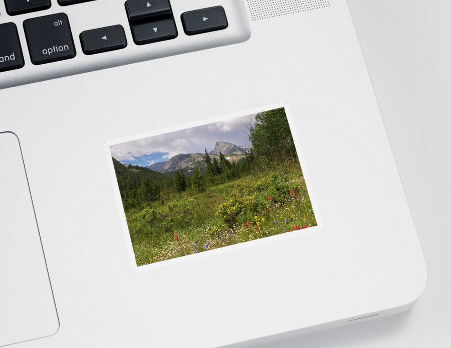 Sawtooth Sticker featuring the photograph Wildflowers and the Sawtooth by Aaron Spong