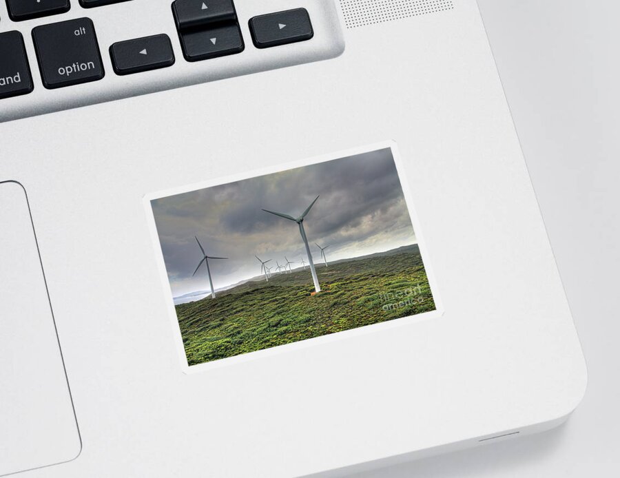 Wind Farm Sticker featuring the photograph Wind Farm, Albany, Western Australia by Elaine Teague