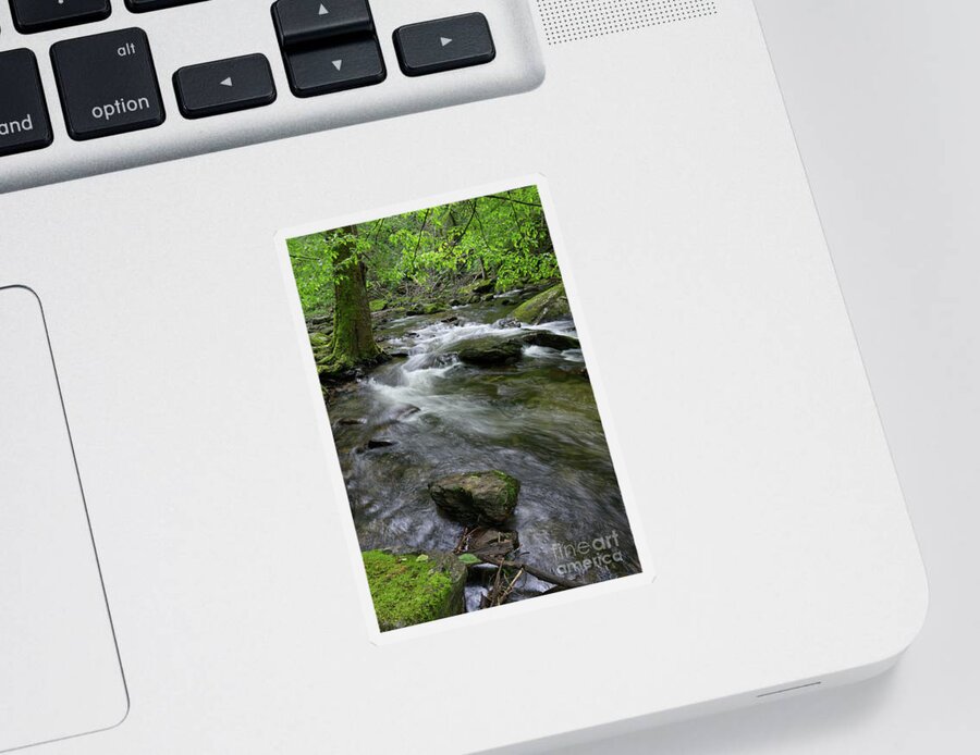Nature Sticker featuring the photograph Winding Waters by Phil Perkins