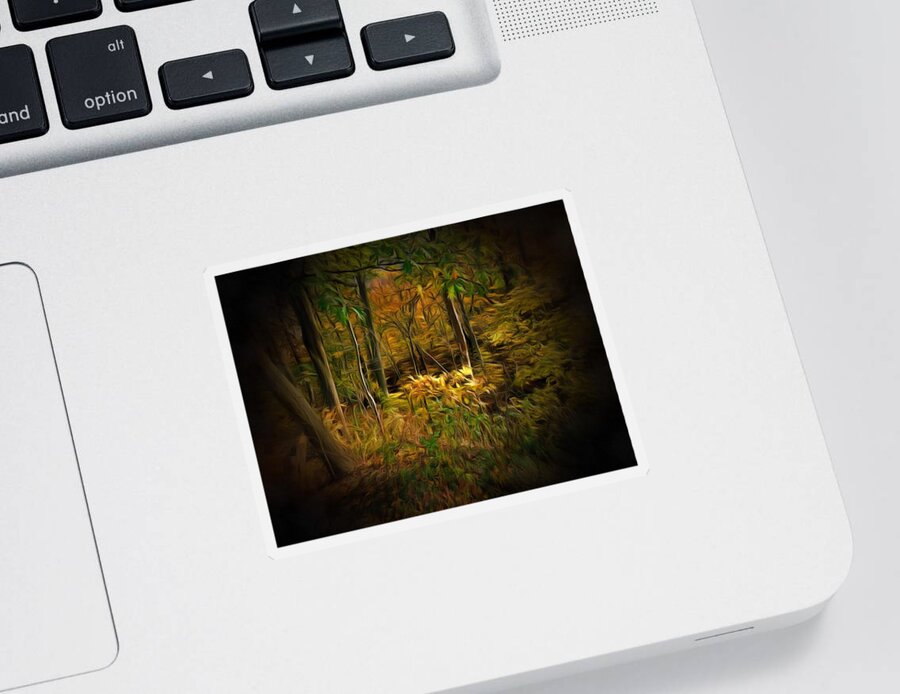 Forest Sticker featuring the photograph Window into the Forest by Christopher Reed