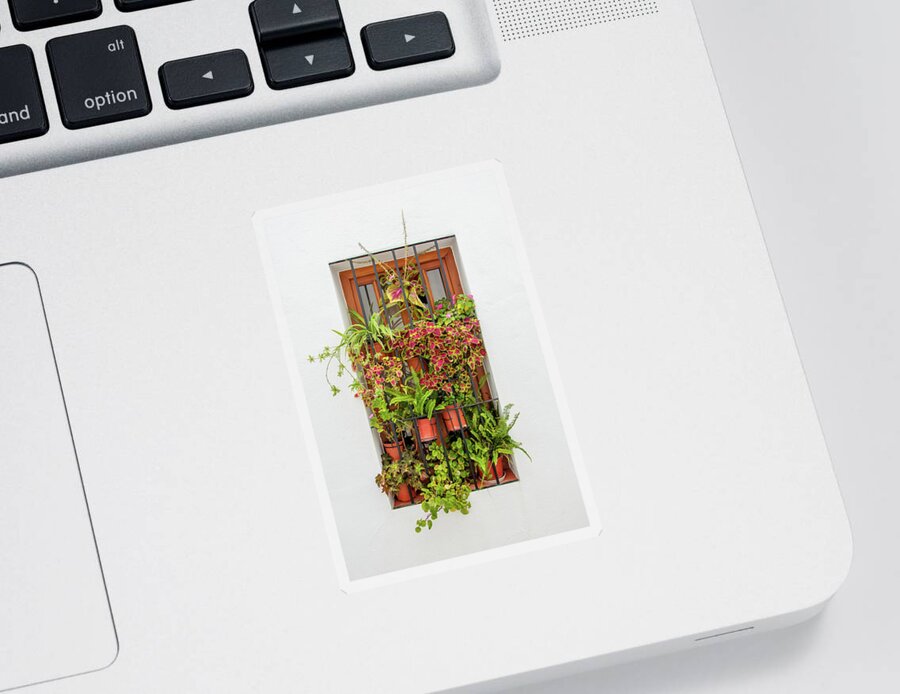 Spain Sticker featuring the digital art Window plants painted photo by Naomi Maya