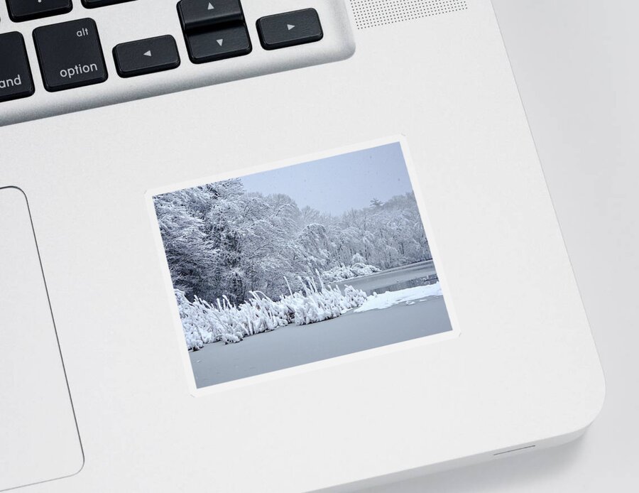 Winter Sticker featuring the photograph Winter Art by Lyuba Filatova