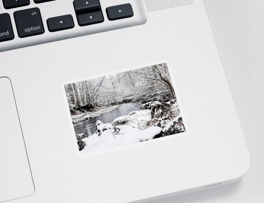 Boone Sticker featuring the photograph Winter At Daniel Boone National Forest by Ed Taylor