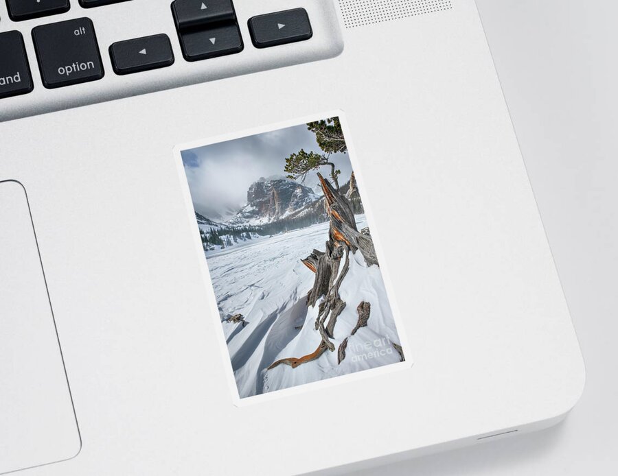 The Loch Sticker featuring the photograph Winter at The Loch Vale by Ronda Kimbrow