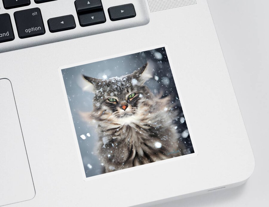 Cat Sticker featuring the digital art Winter Cat in The Snow by Annalisa Rivera-Franz