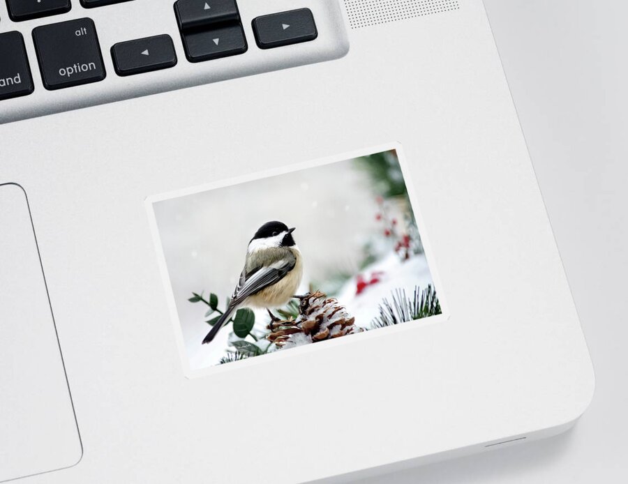 Chickadee Sticker featuring the photograph Winter Chickadee by Christina Rollo