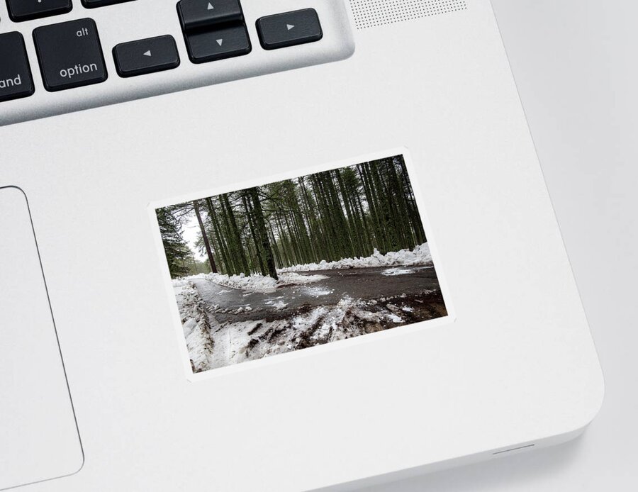 Wintertime Sticker featuring the photograph Winter forest landscape with snow on the ground by Michalakis Ppalis