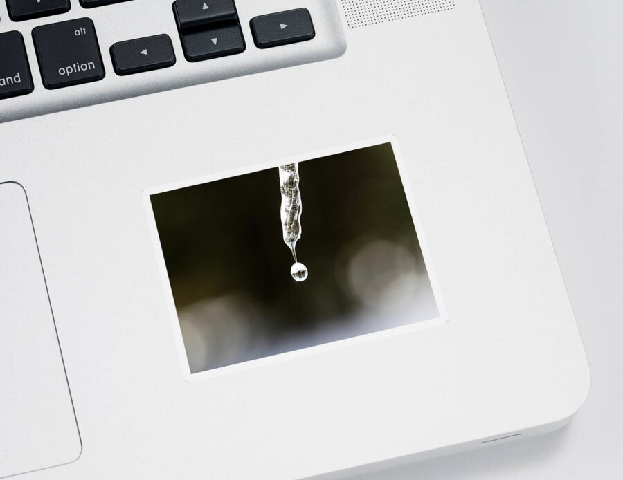 Water Sticker featuring the photograph Winter Icicle Macro 2 by Amelia Pearn