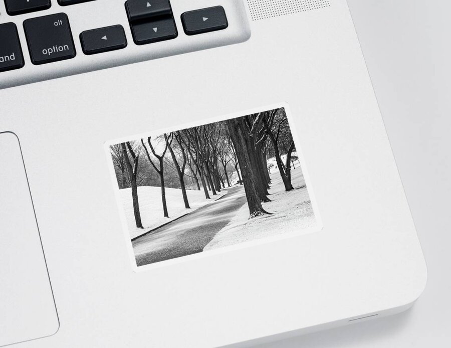 Snow Sticker featuring the photograph Winter in Elmwood Cemetery by Jim West