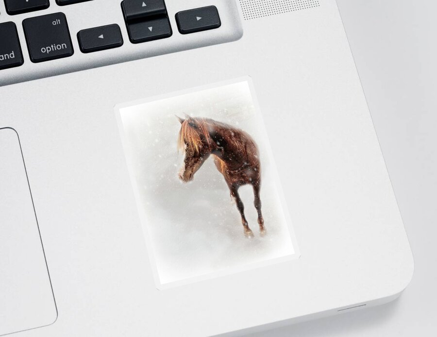 Horses Sticker featuring the photograph Winter Mustang by Marjorie Whitley