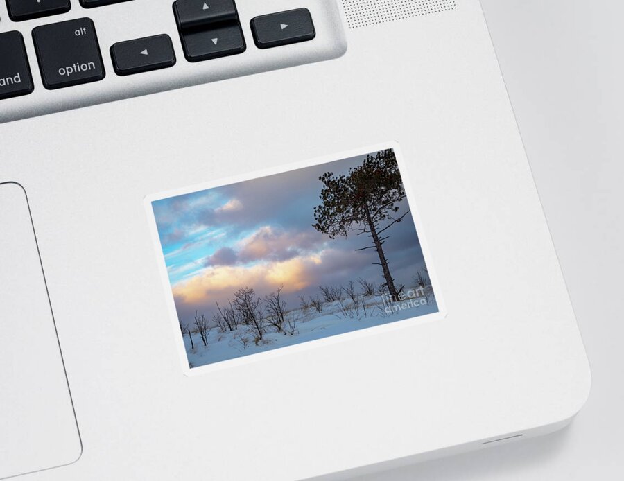 Tree Sticker featuring the photograph Winter on Lake Superior Beach by Jim West