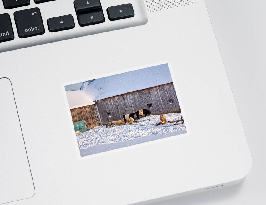 Winter Sticker featuring the photograph Winter sunny day at the farm by Tatiana Travelways