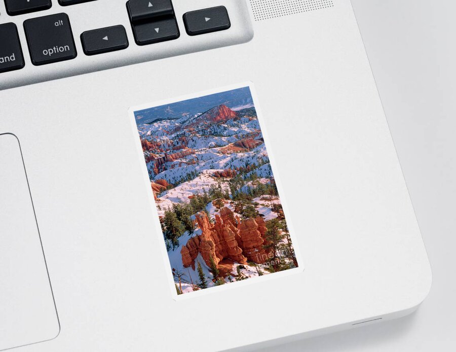 Dave Welling Sticker featuring the photograph Winter Sunrise Bryce Canyon National Park by Dave Welling