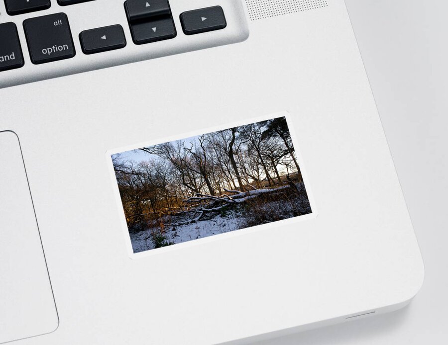 Winter Sticker featuring the photograph Winter the Beautiful by Elena Perelman