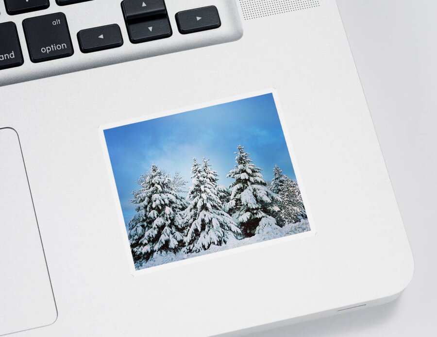 Winter Sticker featuring the photograph Winter Wonderland by Sarah Lilja