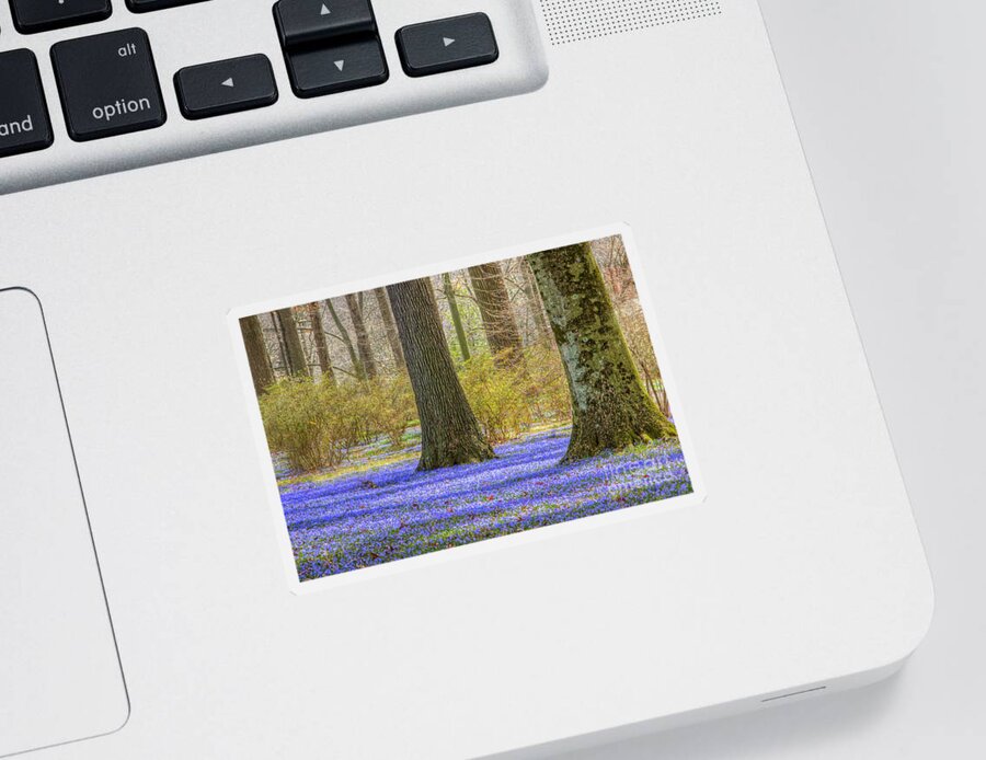 Chinodoxa Sticker featuring the photograph Winterthur March Bank in April by Marilyn Cornwell