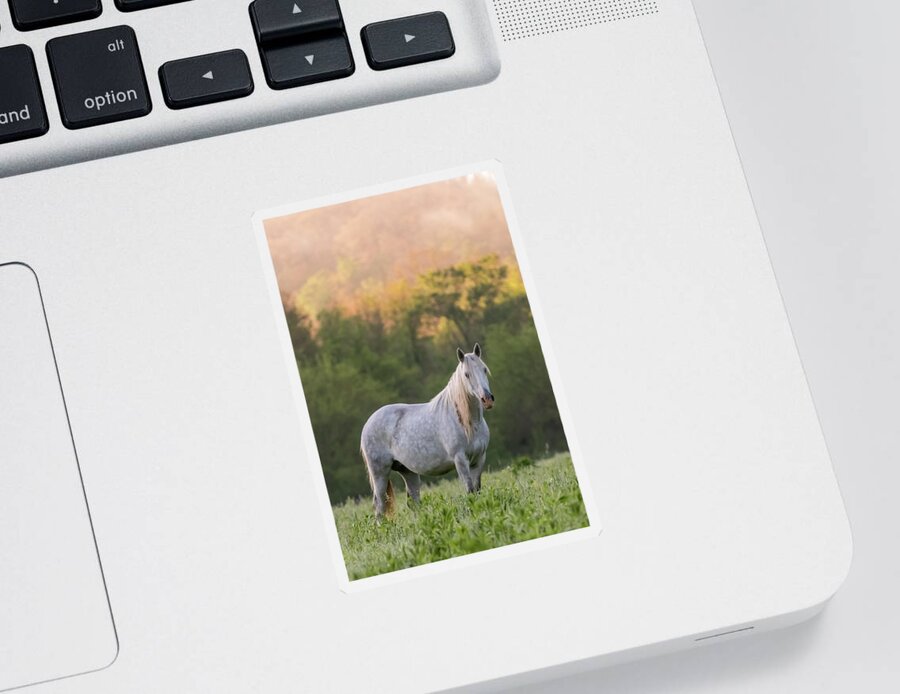Wild Horse Sticker featuring the photograph With the Spirit of the Wild by Holly Ross