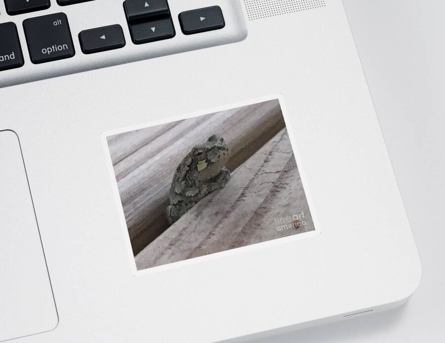 Wood Frog Sticker featuring the photograph Back Porch Wood Frog Lateral by Mary Kobet