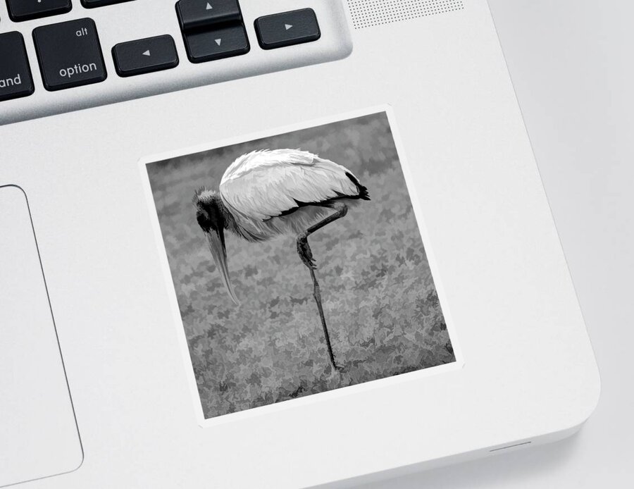 Wood Stork Sticker featuring the photograph Wood Stork by Alison Belsan Horton