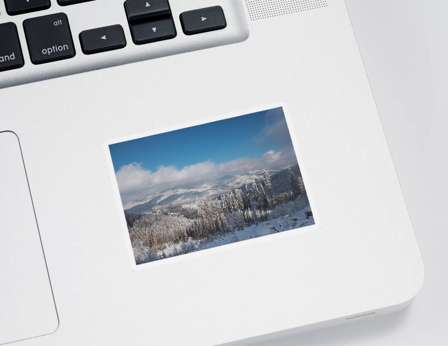 Spruce Sticker featuring the photograph Wooded land covered with snow by Vaclav Sonnek