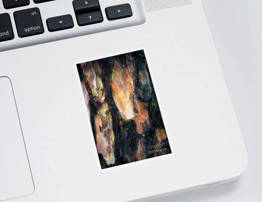 Bark Sticker featuring the photograph Wooden Nature by Alison Belsan Horton