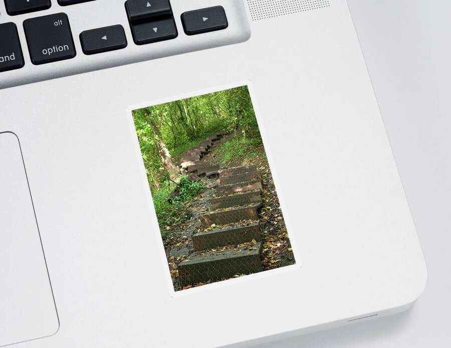 Wood Sticker featuring the photograph Wooden steps in the woods by Average Images