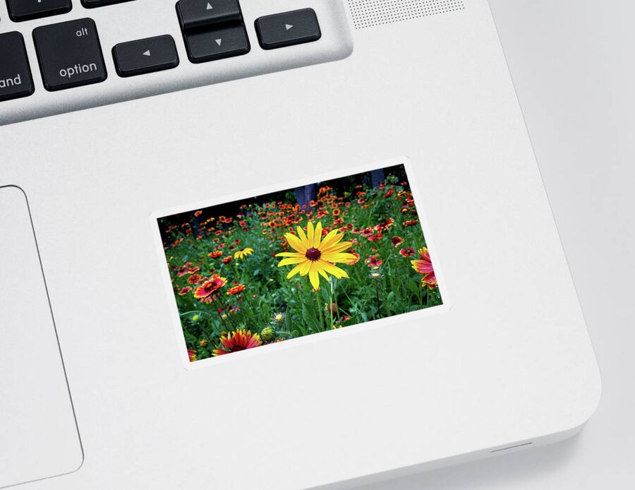 Yellow Flower Field Green Red Sticker featuring the photograph Yellow Flower in Field by David Morehead