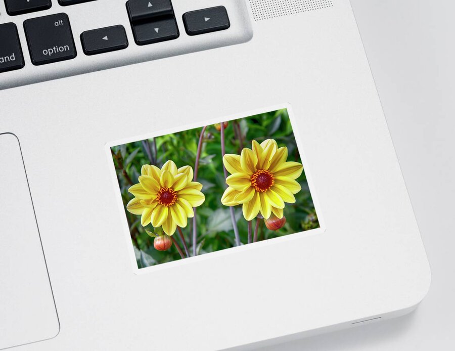 Photo Sticker featuring the photograph Yellow Flowers by Anthony M Davis